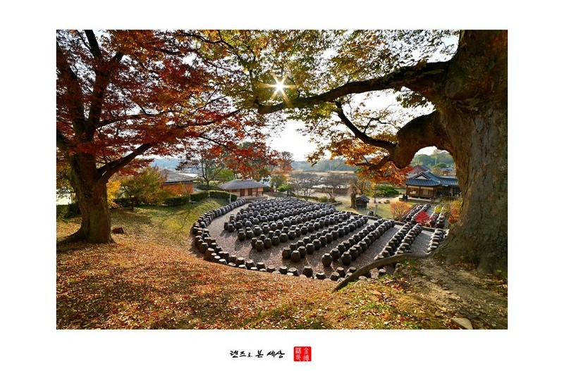 명재고택의 가을