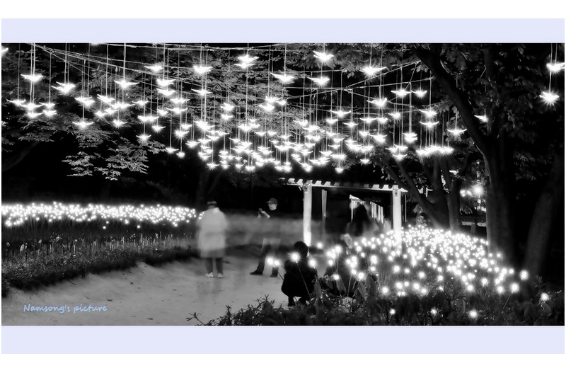 축제가 끝난 밤의 풍경