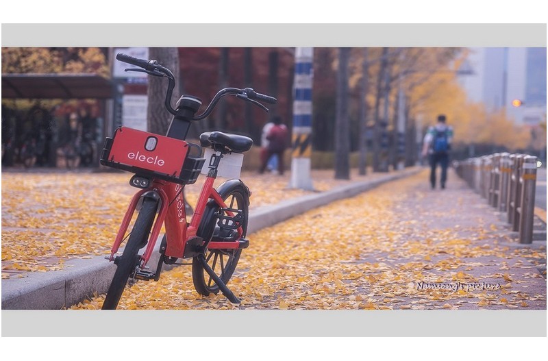 떠나는 가을에 ----