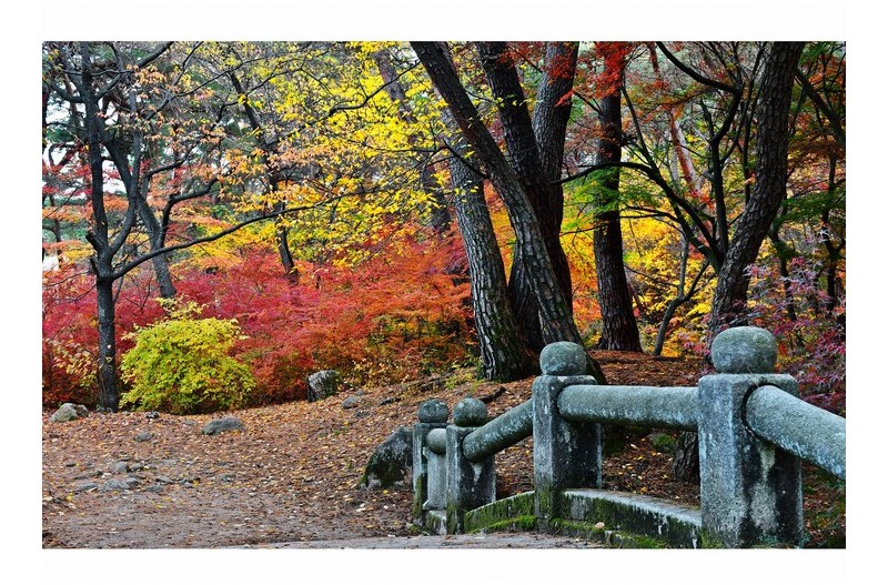 형형색색 춤추는 가을