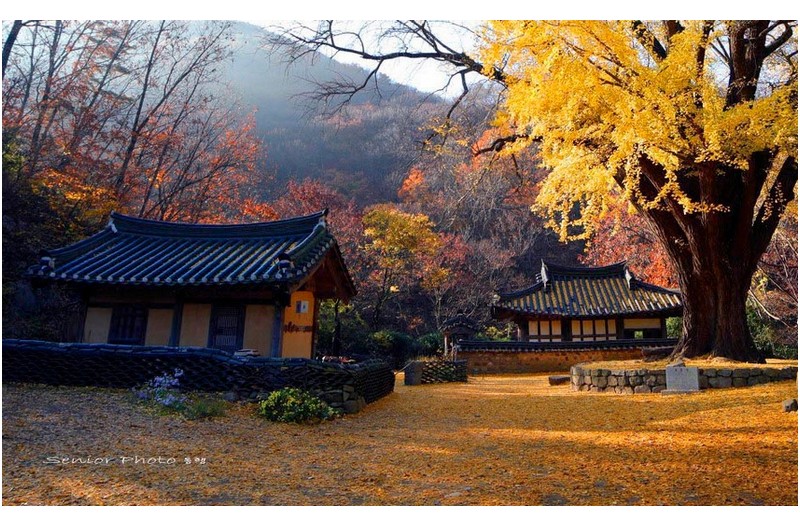 소실적 운곡   ㅡㅡㅡㅡㅡㅡㅡㅡㅡㅡㅡㅡㅡㅡㅡㅡㅡ