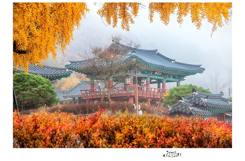 만추의 임고서원