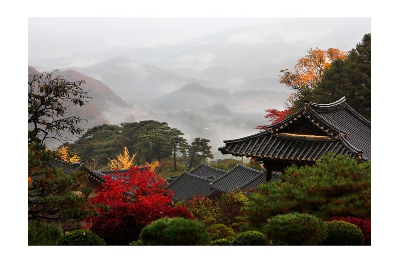 산사의 가을