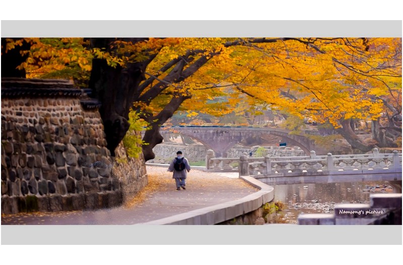통도사의 가을 풍경 -----