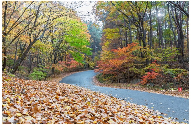 저만치 가버린 가을