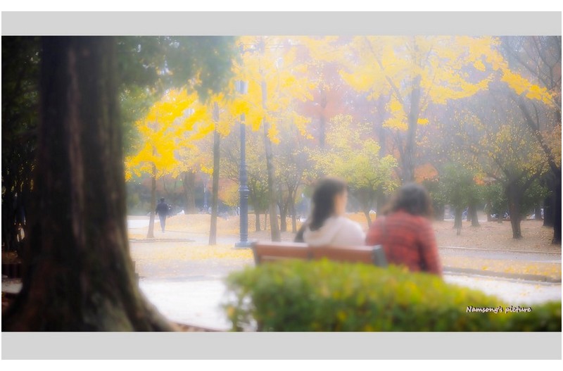 안개가 내리던 초겨울 어느날에 -----