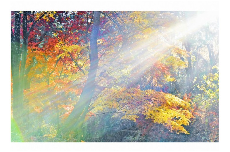 하늘이 내리는 선물