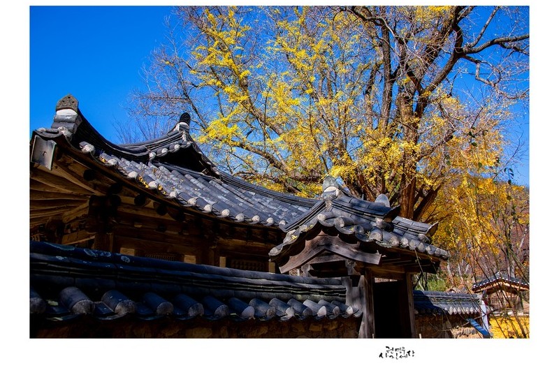 가을 끝자락의 운곡서원