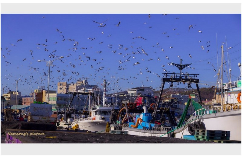 어느 포구의 아침 --