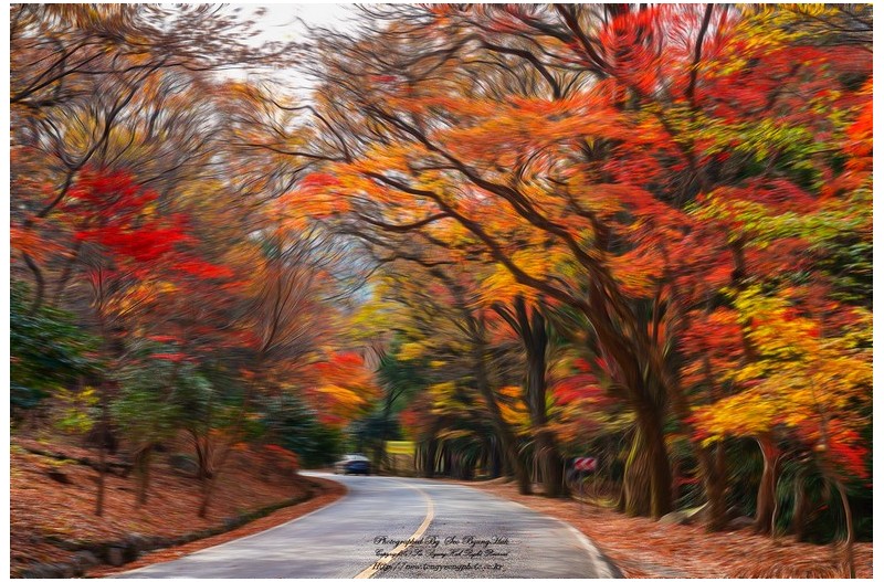 대흥사 가는 길