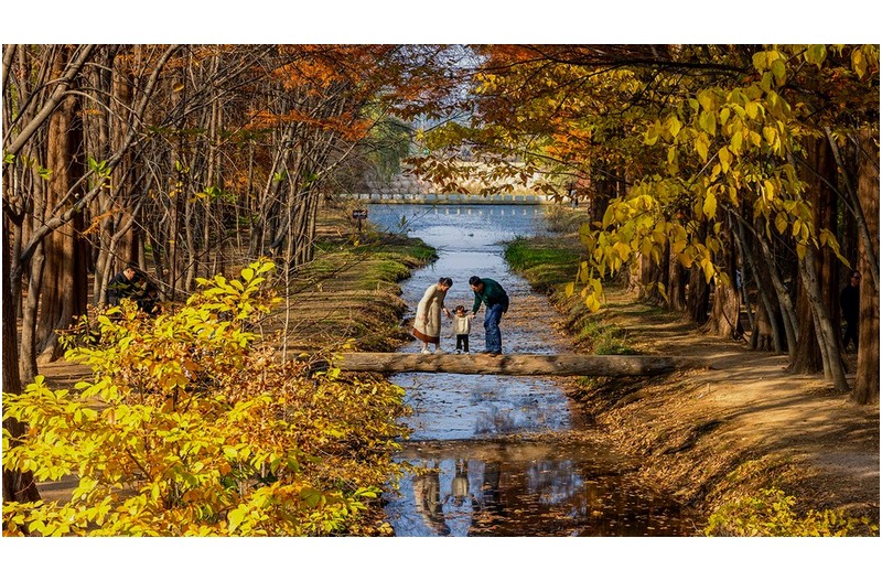 경주 경상북도지방정원