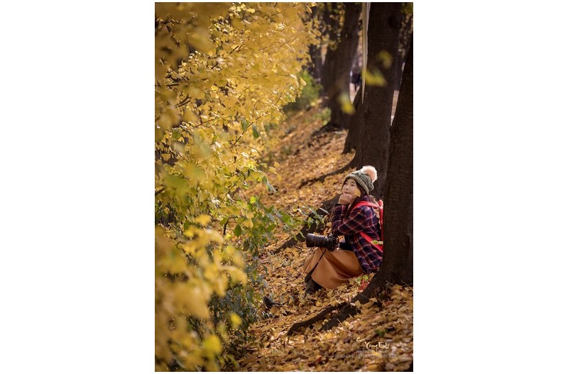 도심속의 가을 #2