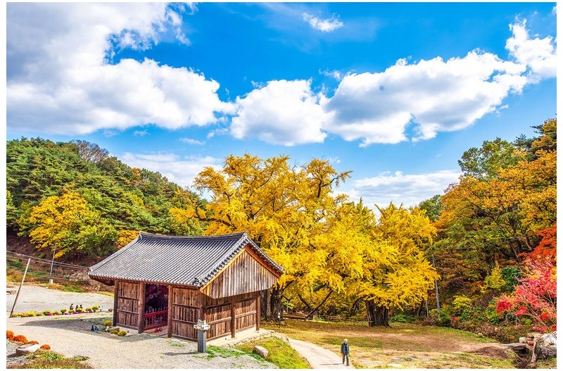 하늘 좋은날에..