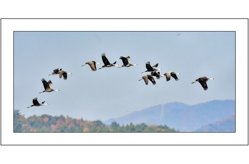 아름다운 비행,,