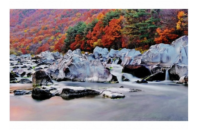 다홍치마와 백석