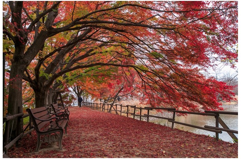 한국의 마지막 단풍 명소