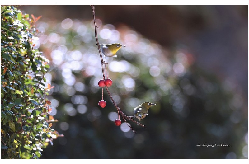 문수의 귀요미   ㅡㅡㅡㅡㅡㅡㅡㅡㅡㅡㅡㅡㅡㅡ