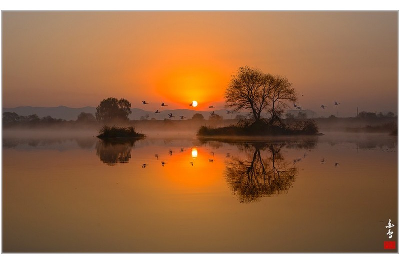 안심습지의 아침