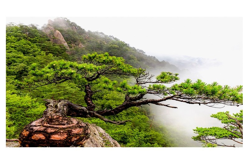 세상에 이런 일이!!