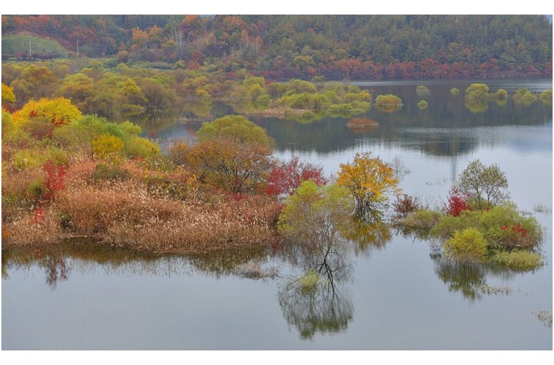 용 담호의 추억