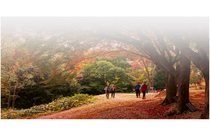 안개비 내리던 날에 -------