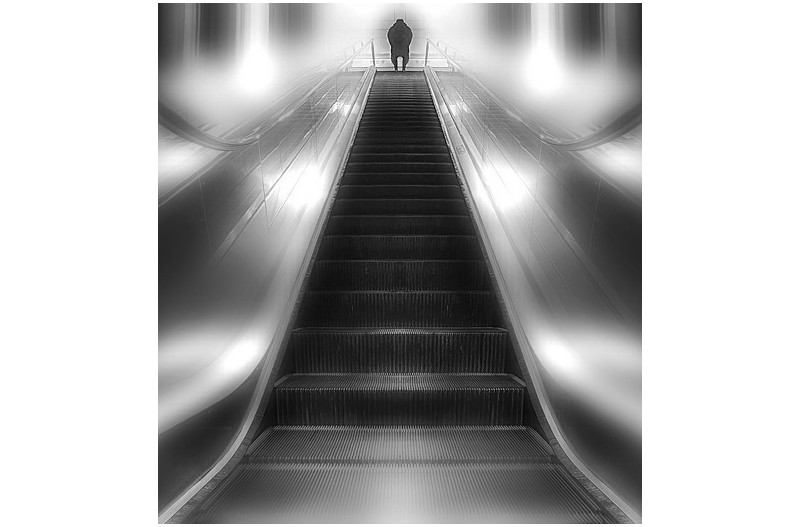 일상속의 시선들