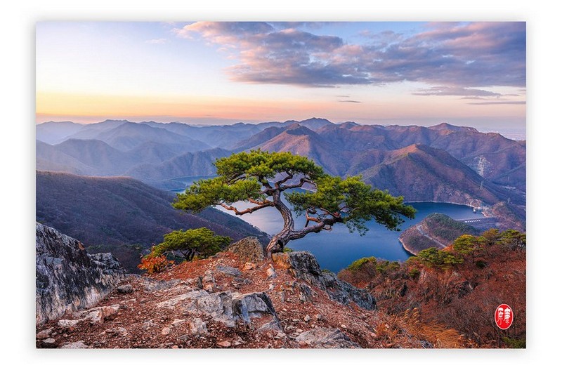 아침운동 하고 왔습니다