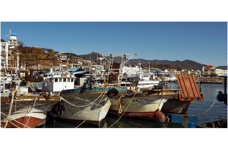 조용한 포구의 소경