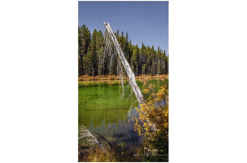 작은 호수의 가을