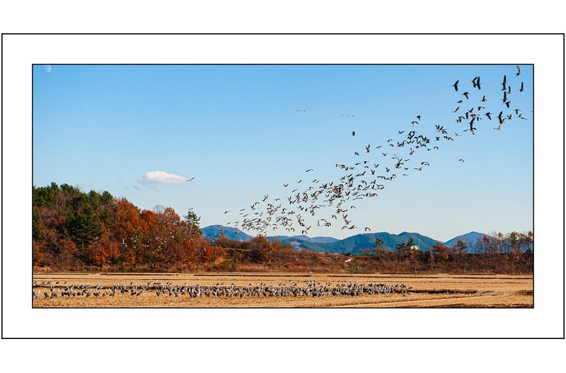 순천만의 오후,,