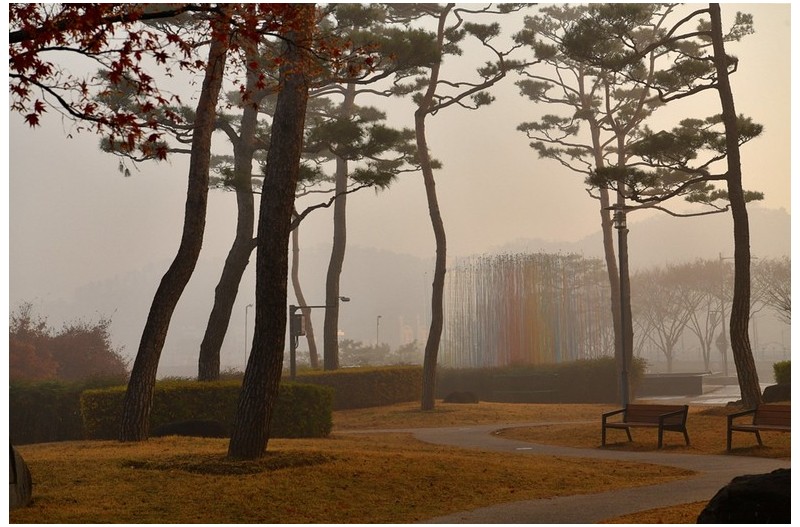 안개자욱한 남강변
