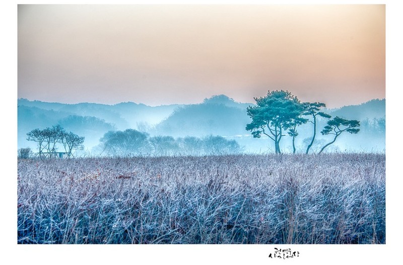 아침이 찾아들 때