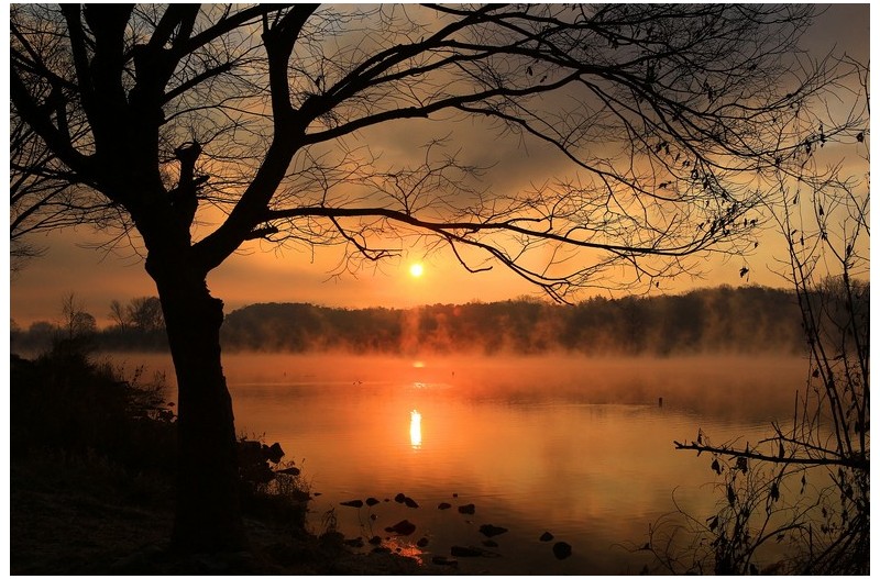 어느 겨울 갯강에서