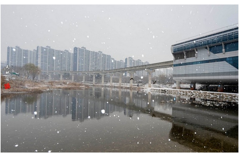 大邱 에도 눈이 내리다