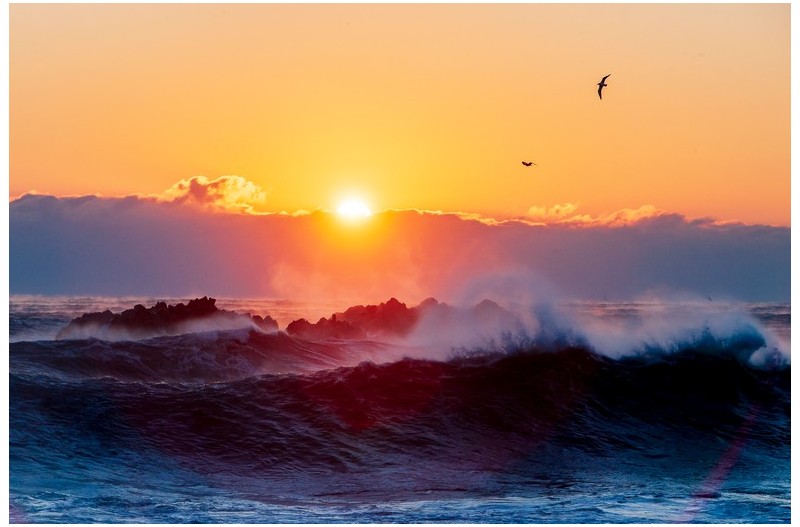 나의 사랑 동해 바다