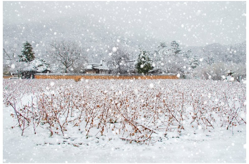 설경 - 雪景