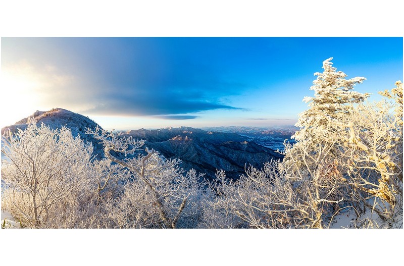 설천에서 맞이한
