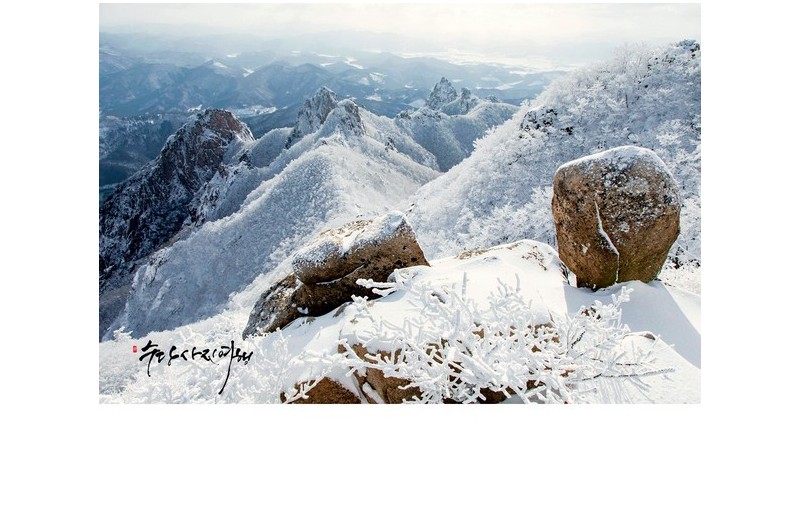 월출산 겨울나기
