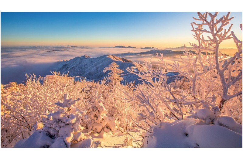 겨울왕국의 추억