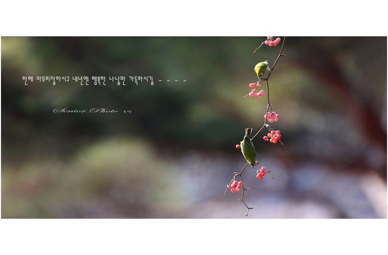 한해를 보내면서  ㅡㅡㅡㅡㅡㅡㅡㅡㅡㅡㅡ