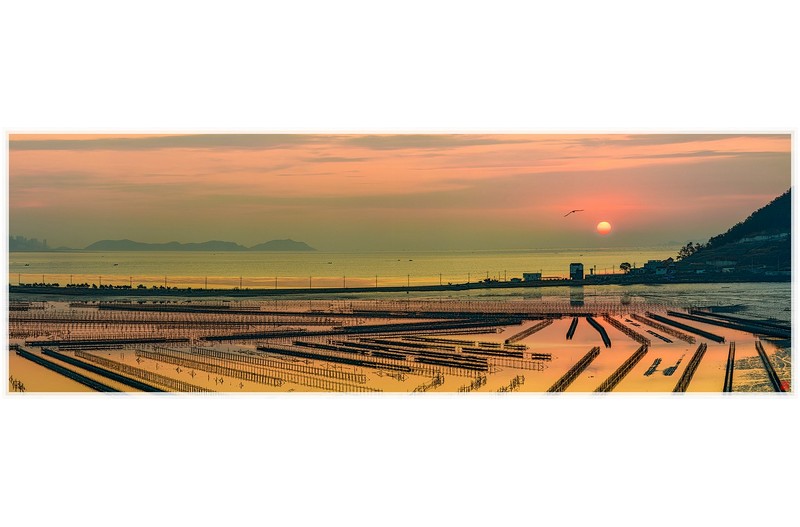 모처럼 바닷가에서