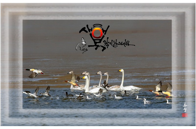 새해인사 올립니다