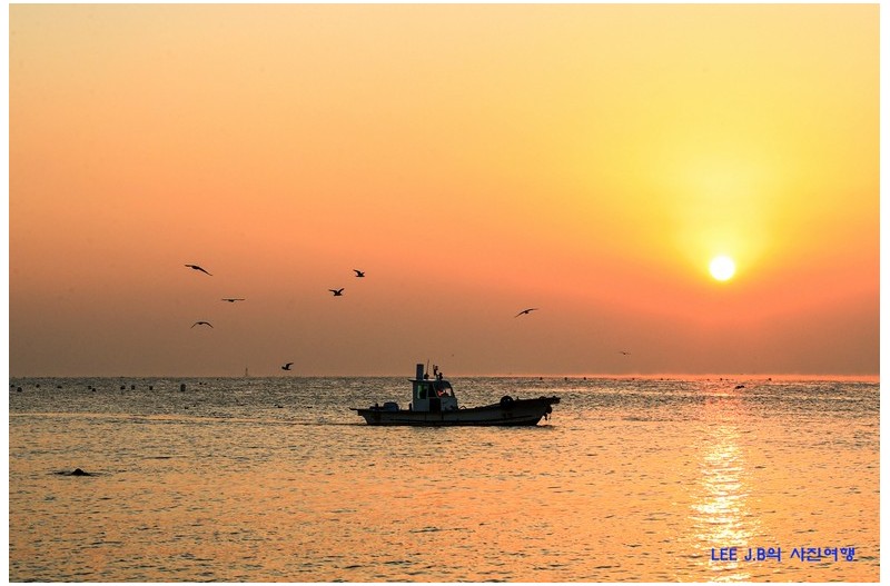 강양항 일출