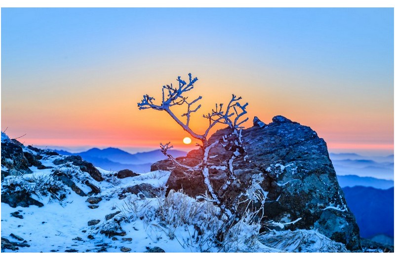 새해 복 많이 받으십시요