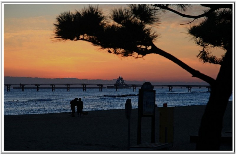 2 일  아침 여명