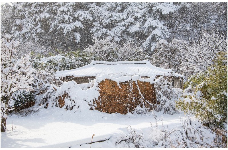 외딴집의 겨울