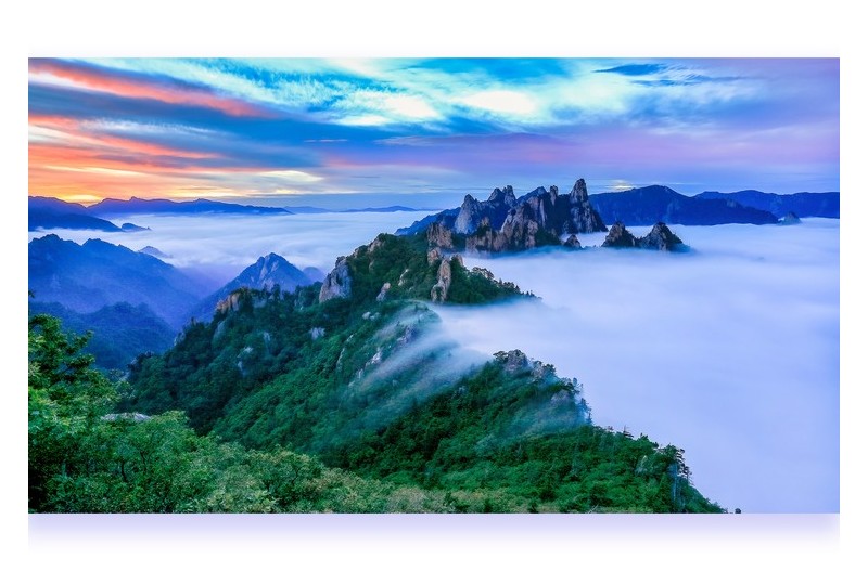 따뜻한 사진 한 점