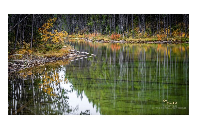 지난 가을날의 추억