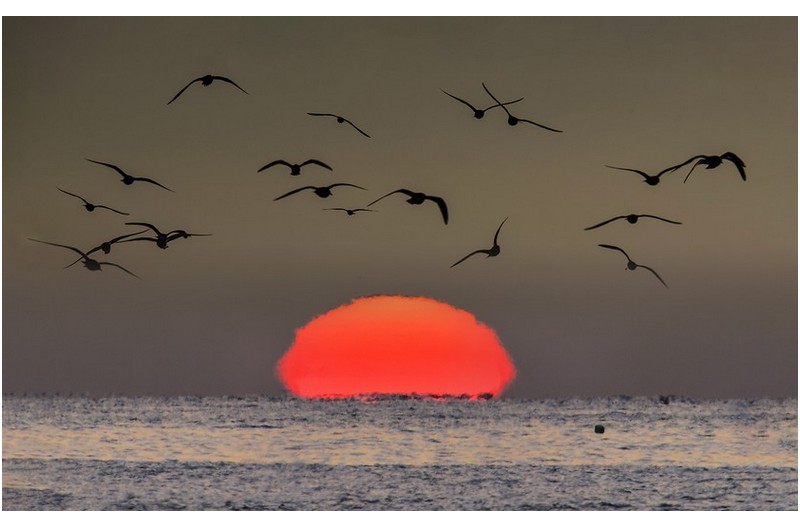 화양연화 (花樣年華)