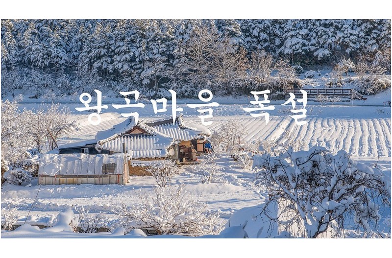왕곡마을 폭설